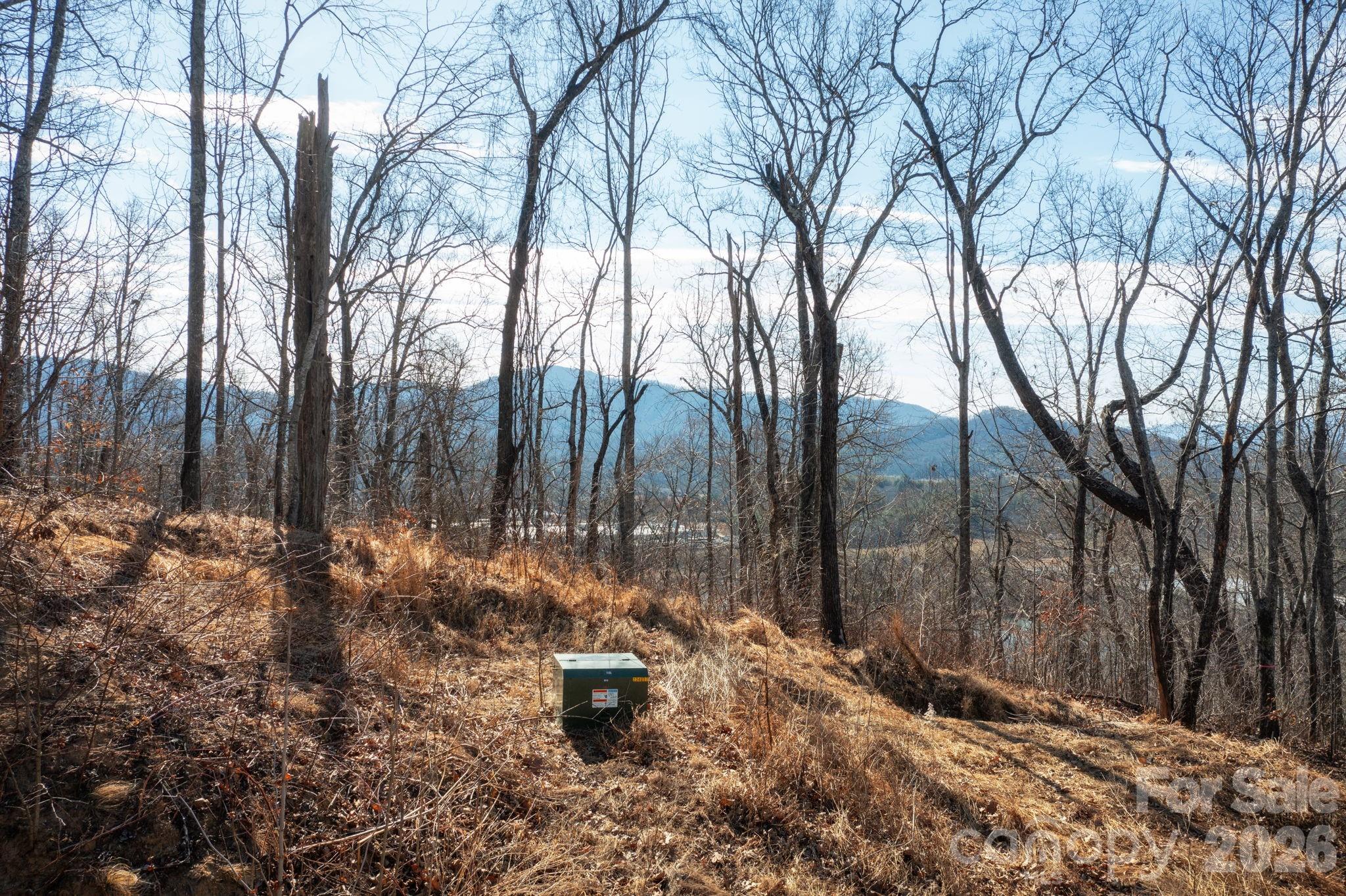 000 Bee Tree Road Swannanoa NC 28778
