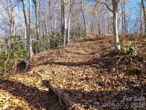 000 Bee Tree Road Swannanoa NC 28778