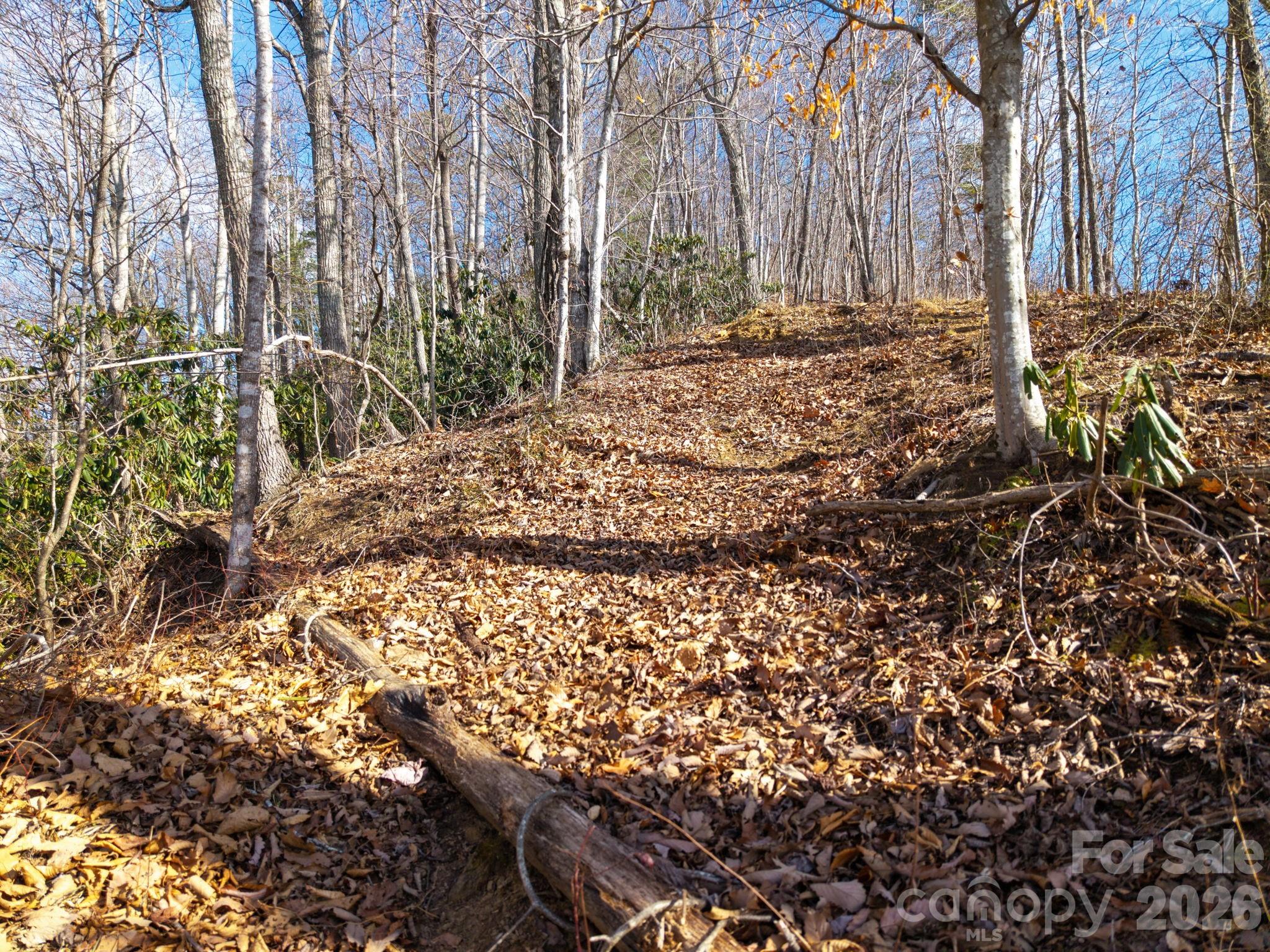 000 Bee Tree Road Swannanoa NC 28778