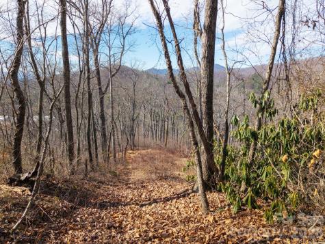 000 Bee Tree Road Swannanoa NC 28778