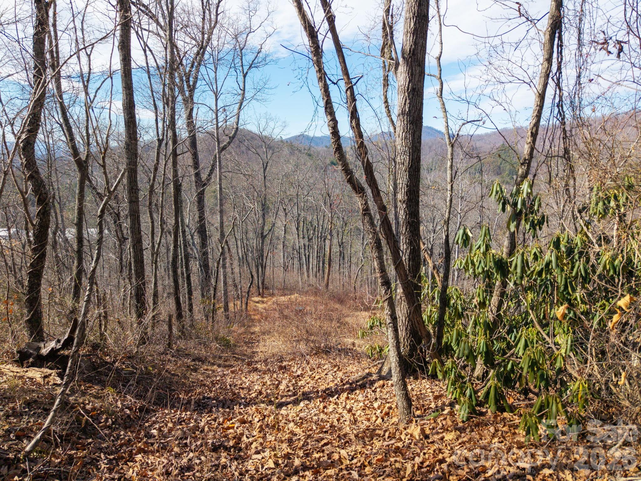000 Bee Tree Road Swannanoa NC 28778