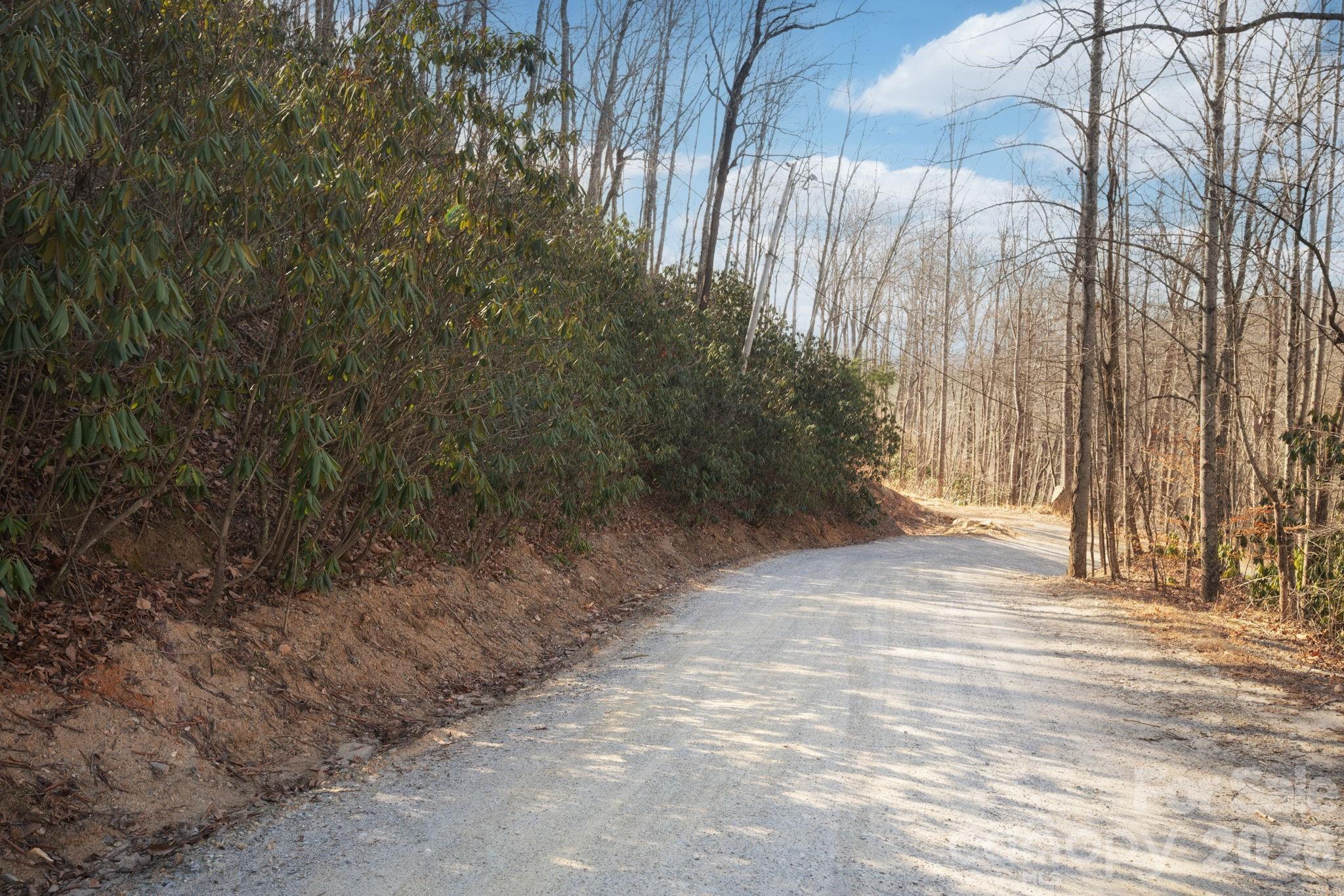 000 Bee Tree Road Swannanoa NC 28778