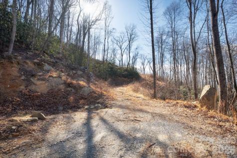 000 Bee Tree Road Swannanoa NC 28778