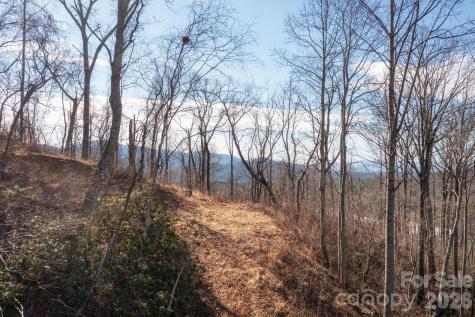 000 Bee Tree Road Swannanoa NC 28778