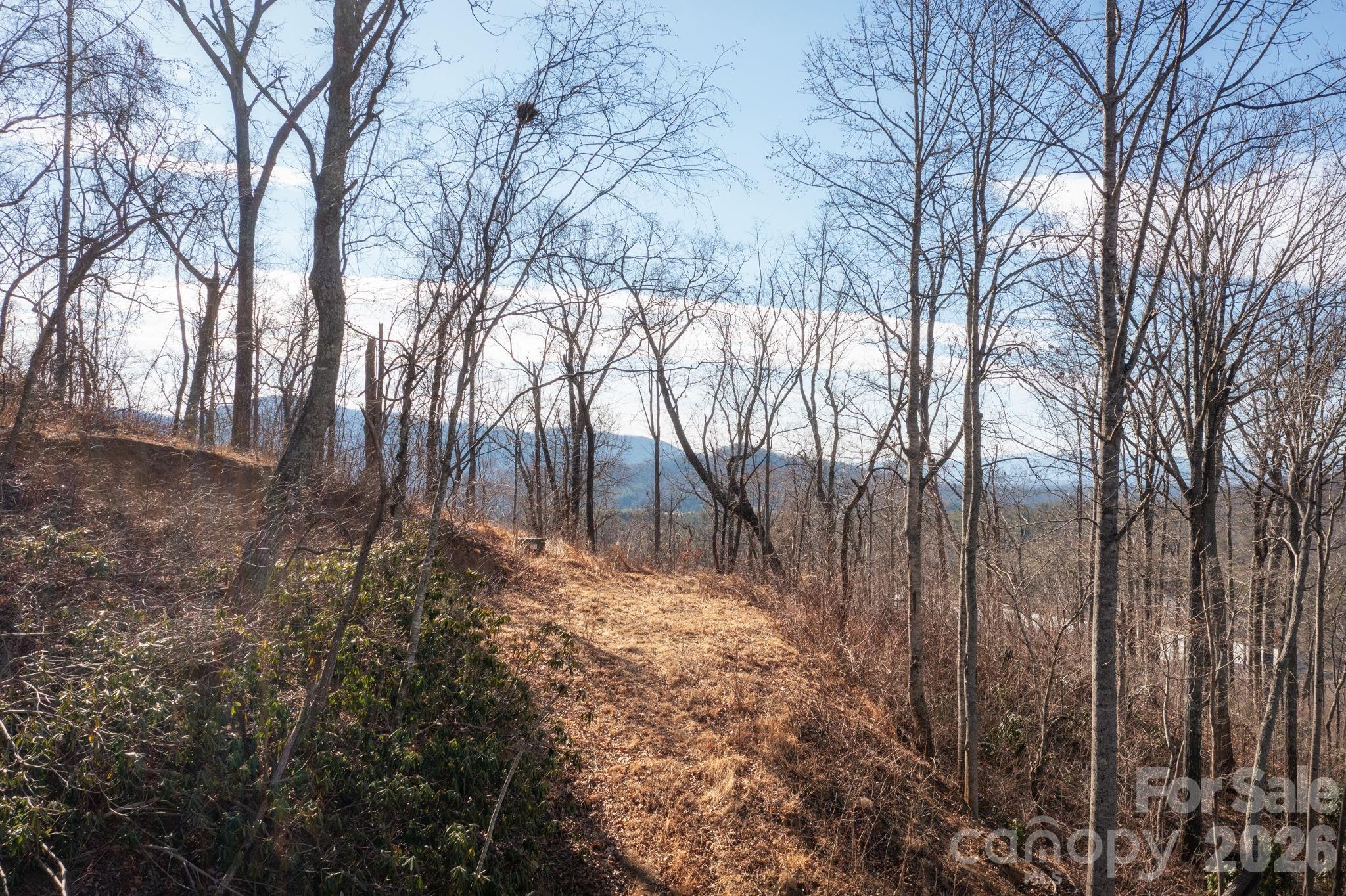 000 Bee Tree Road Swannanoa NC 28778