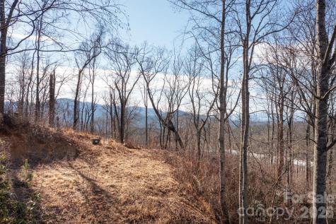 000 Bee Tree Road Swannanoa NC 28778