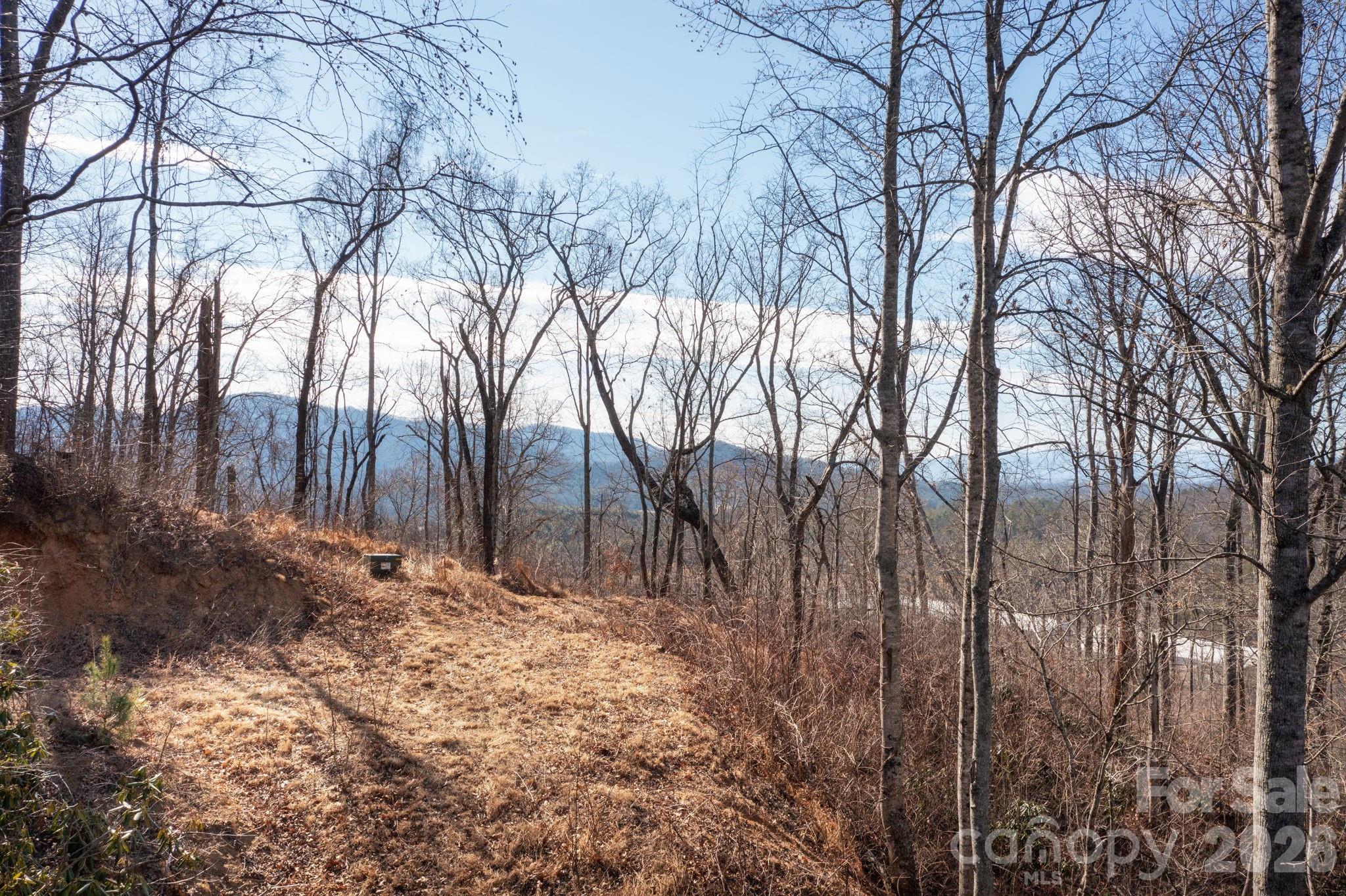 000 Bee Tree Road Swannanoa NC 28778