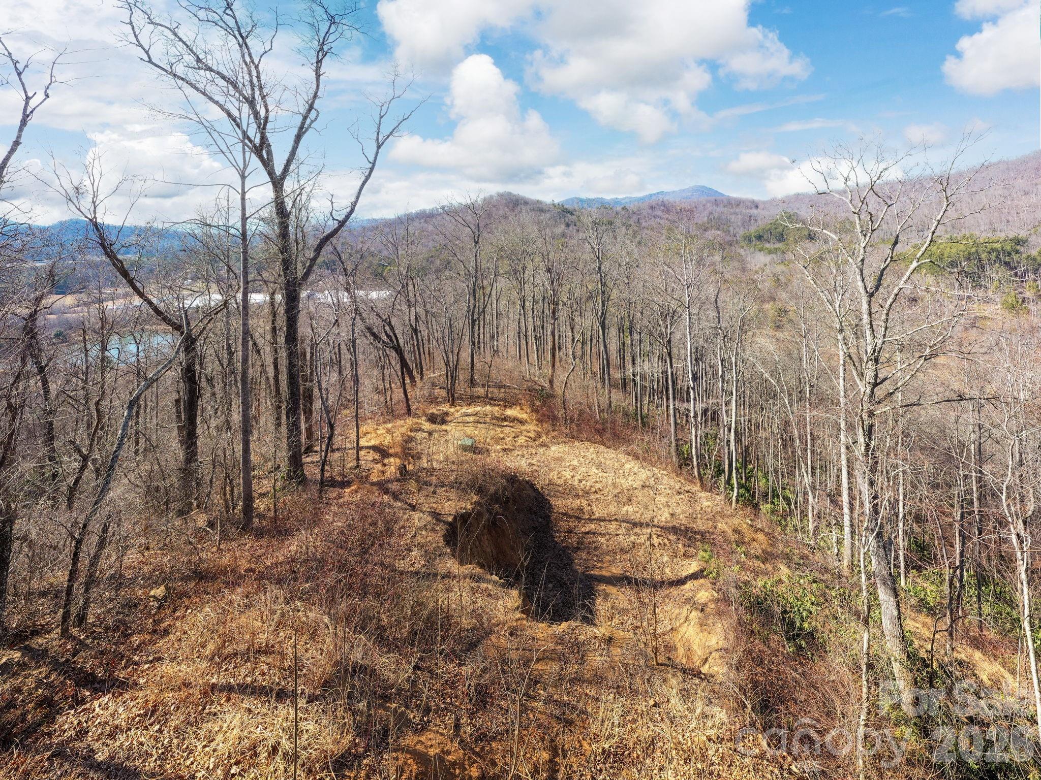 000 Bee Tree Road Swannanoa NC 28778