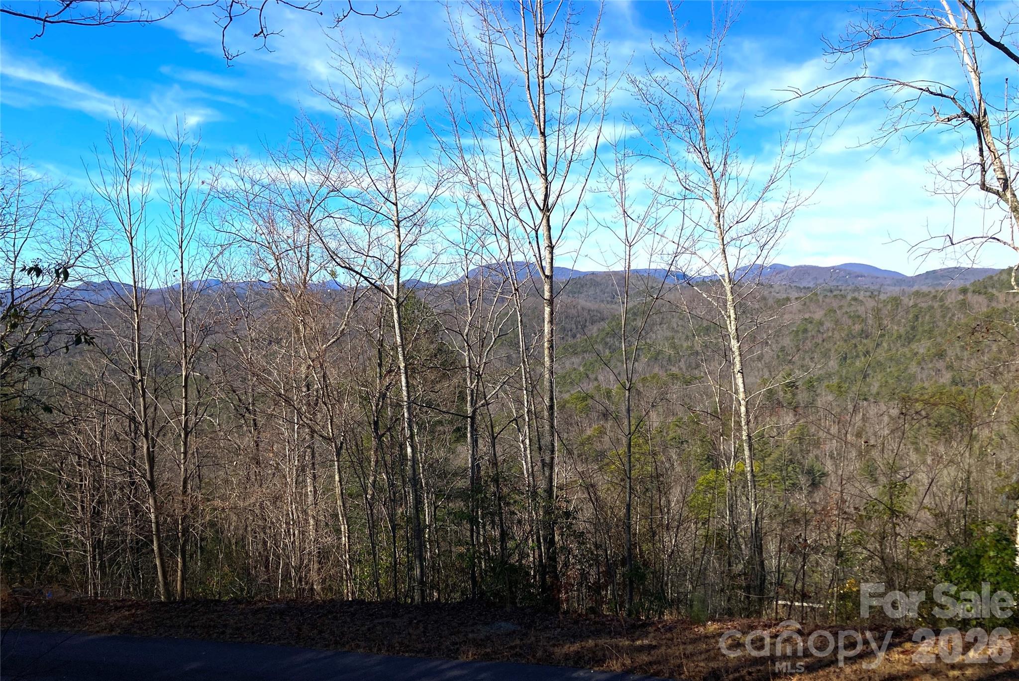 Tbd Ruffed Grouse Road Brevard NC 28712