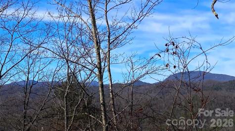 Tbd Ruffed Grouse Road Brevard NC 28712