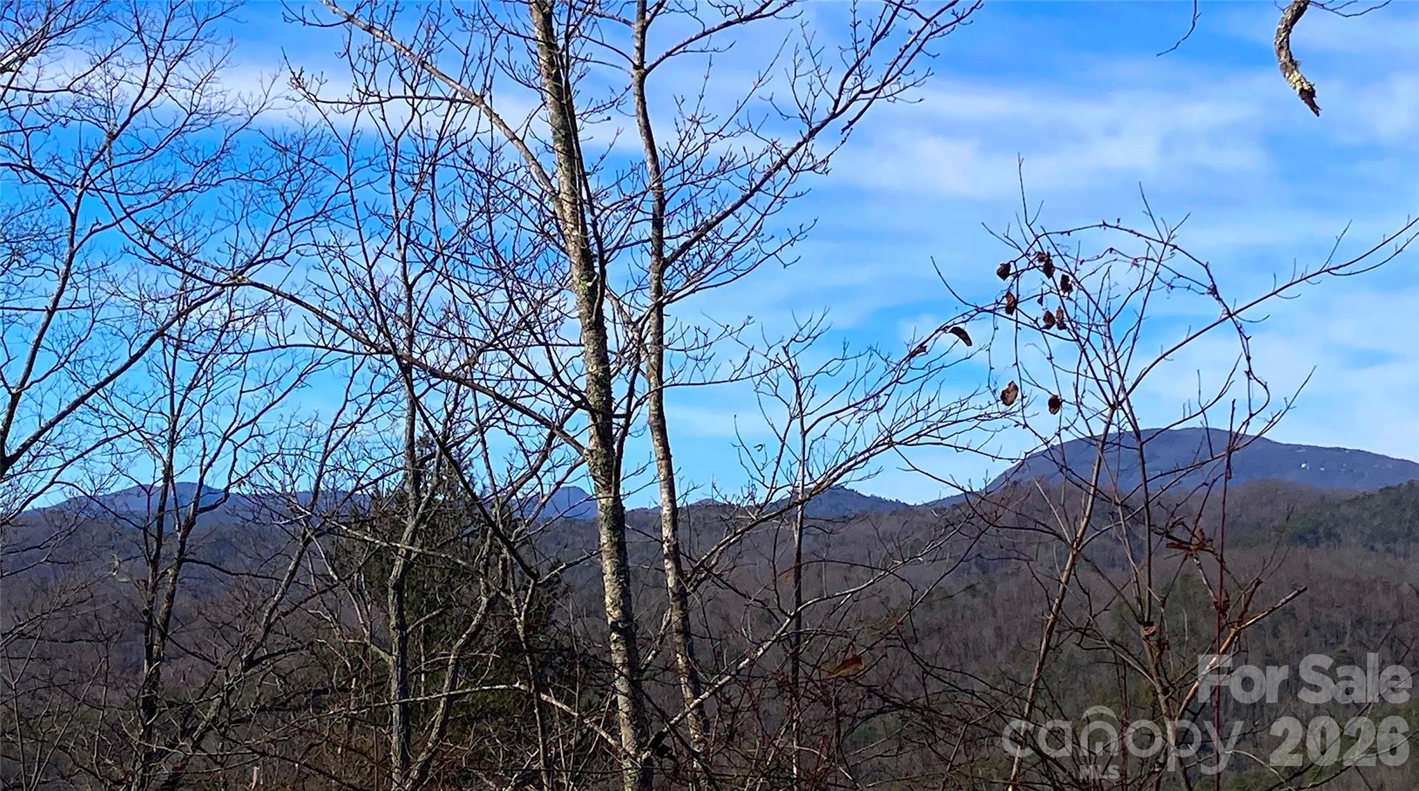 Tbd Ruffed Grouse Road Brevard NC 28712