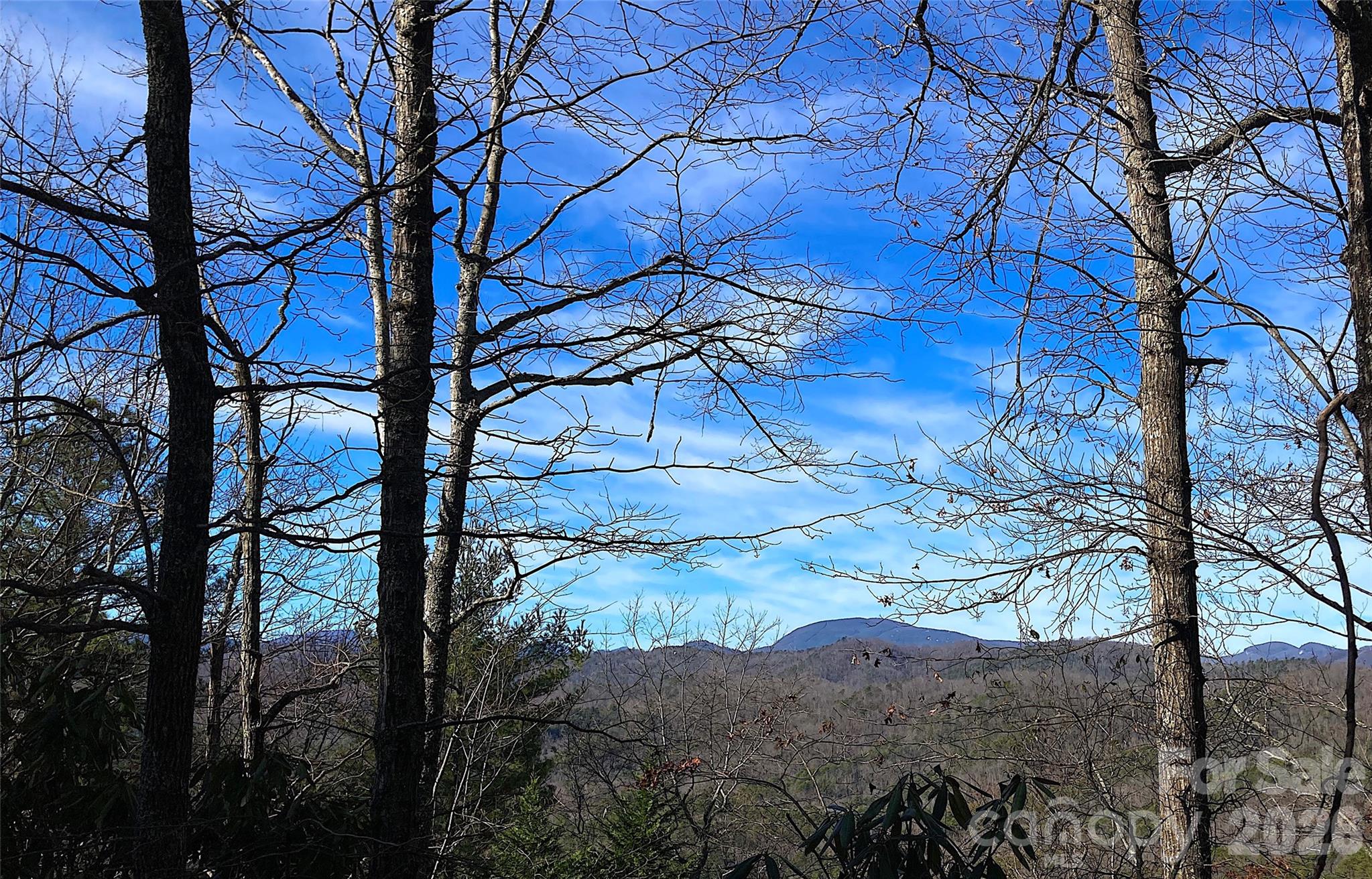 Tbd Ruffed Grouse Road Brevard NC 28712