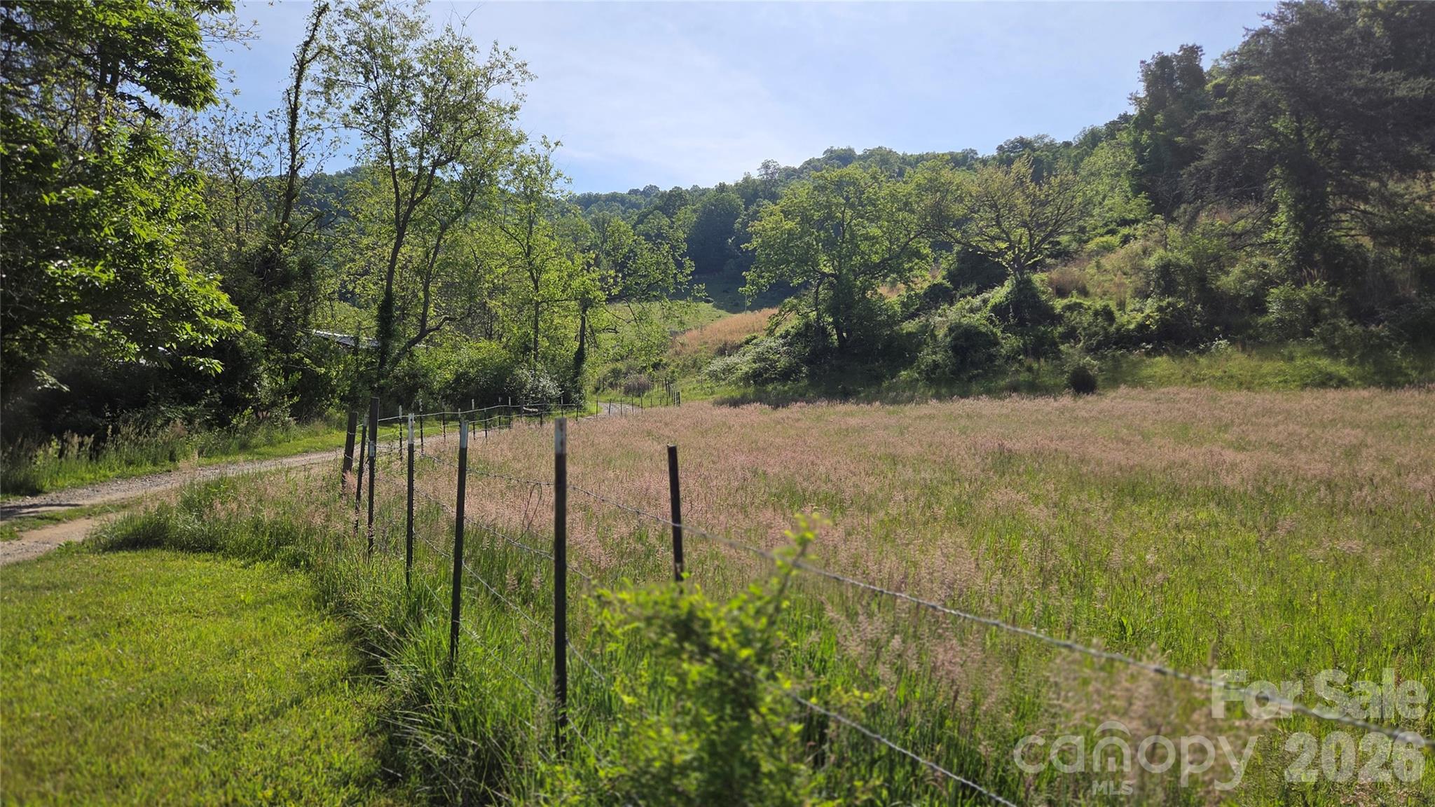 407 Spicewood Trail Mars Hill NC 28754