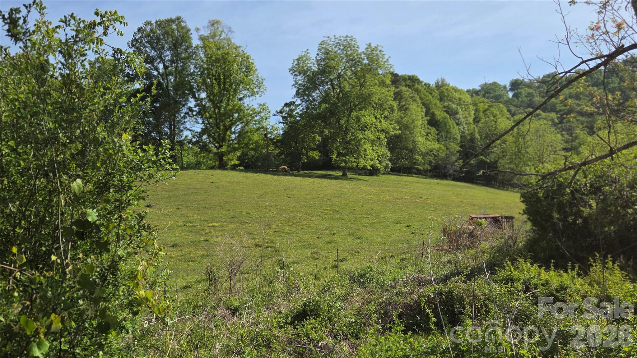 407 Spicewood Trail Mars Hill NC 28754