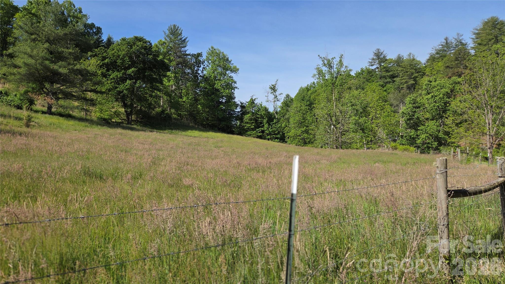 407 Spicewood Trail Mars Hill NC 28754