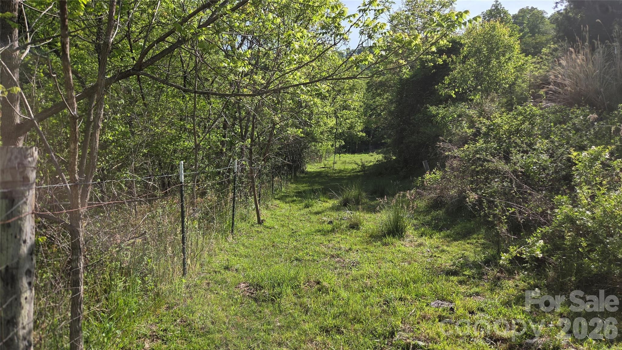 407 Spicewood Trail Mars Hill NC 28754