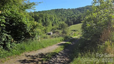 407 Spicewood Trail Mars Hill NC 28754