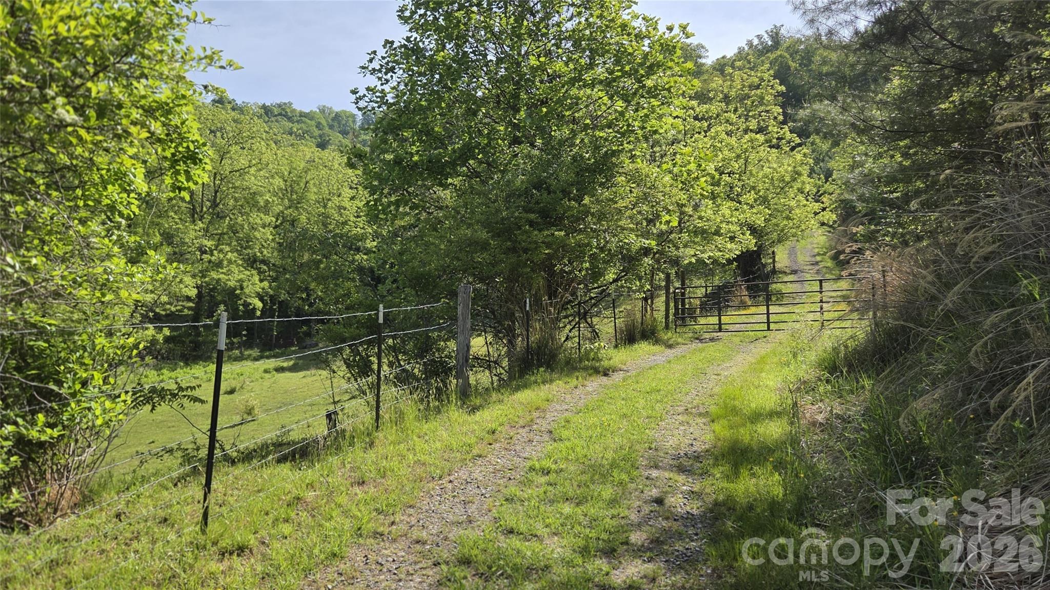 407 Spicewood Trail Mars Hill NC 28754