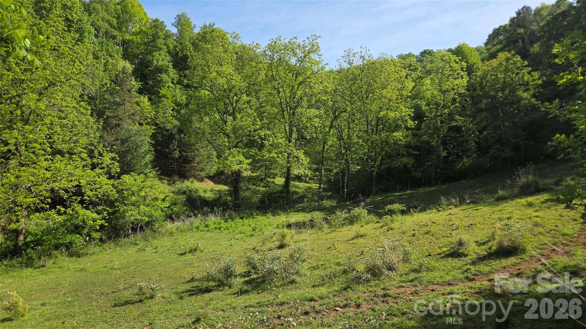 407 Spicewood Trail Mars Hill NC 28754