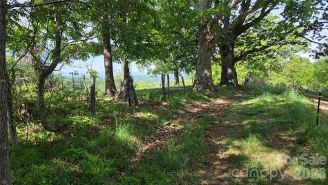 407 Spicewood Trail Mars Hill NC 28754