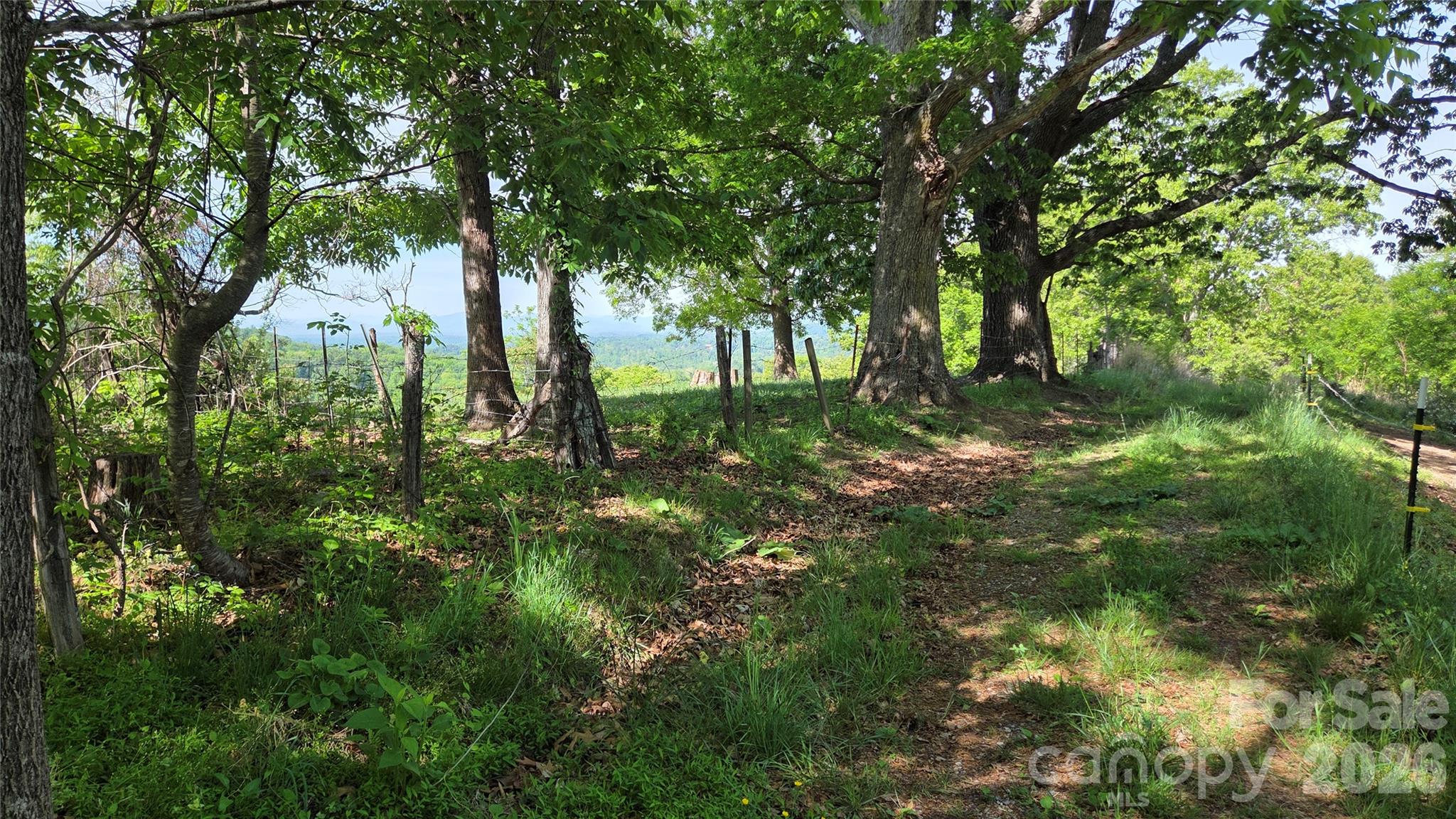 407 Spicewood Trail Mars Hill NC 28754