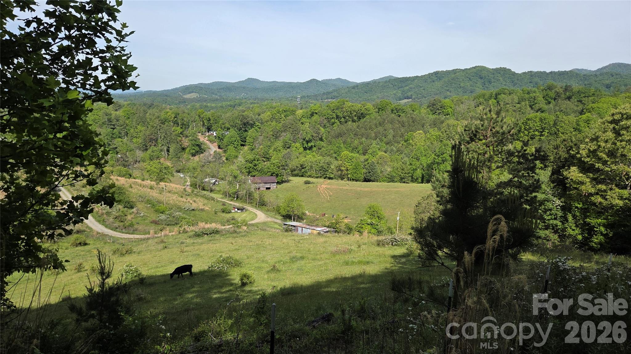 407 Spicewood Trail Mars Hill NC 28754