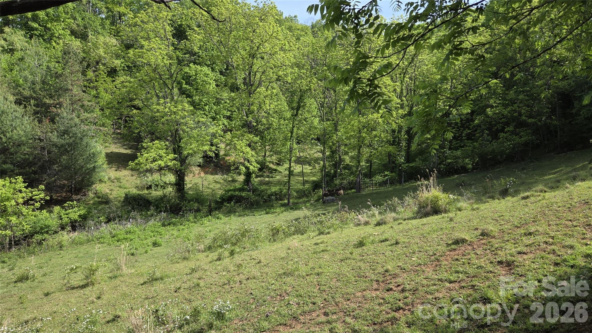 407 Spicewood Trail Mars Hill NC 28754