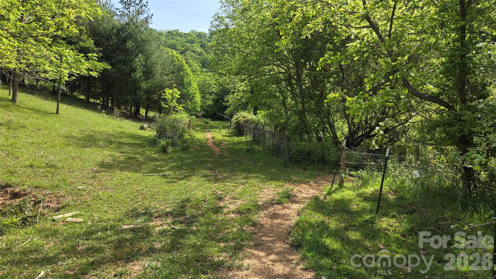 407 Spicewood Trail Mars Hill NC 28754