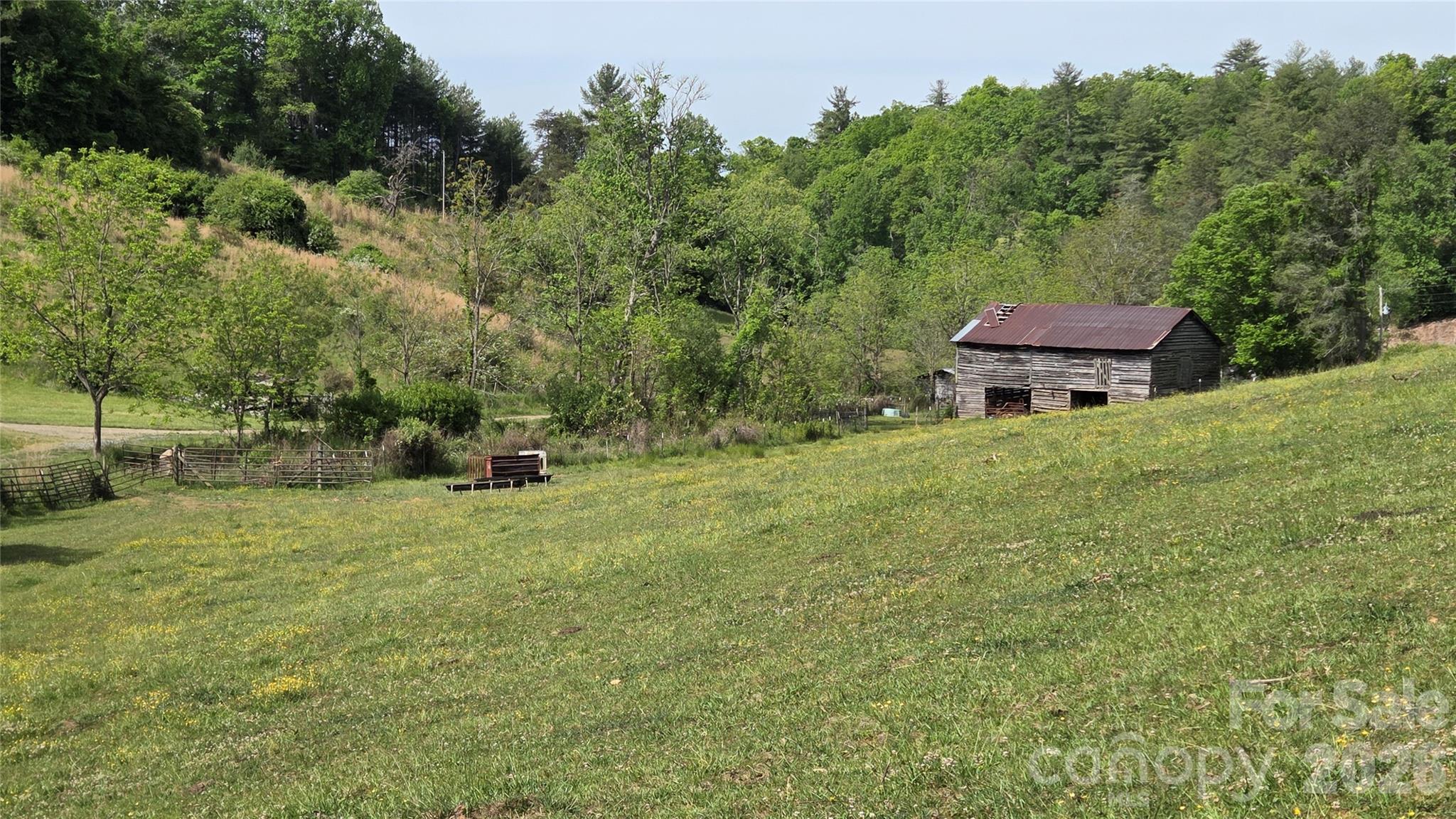 407 Spicewood Trail Mars Hill NC 28754