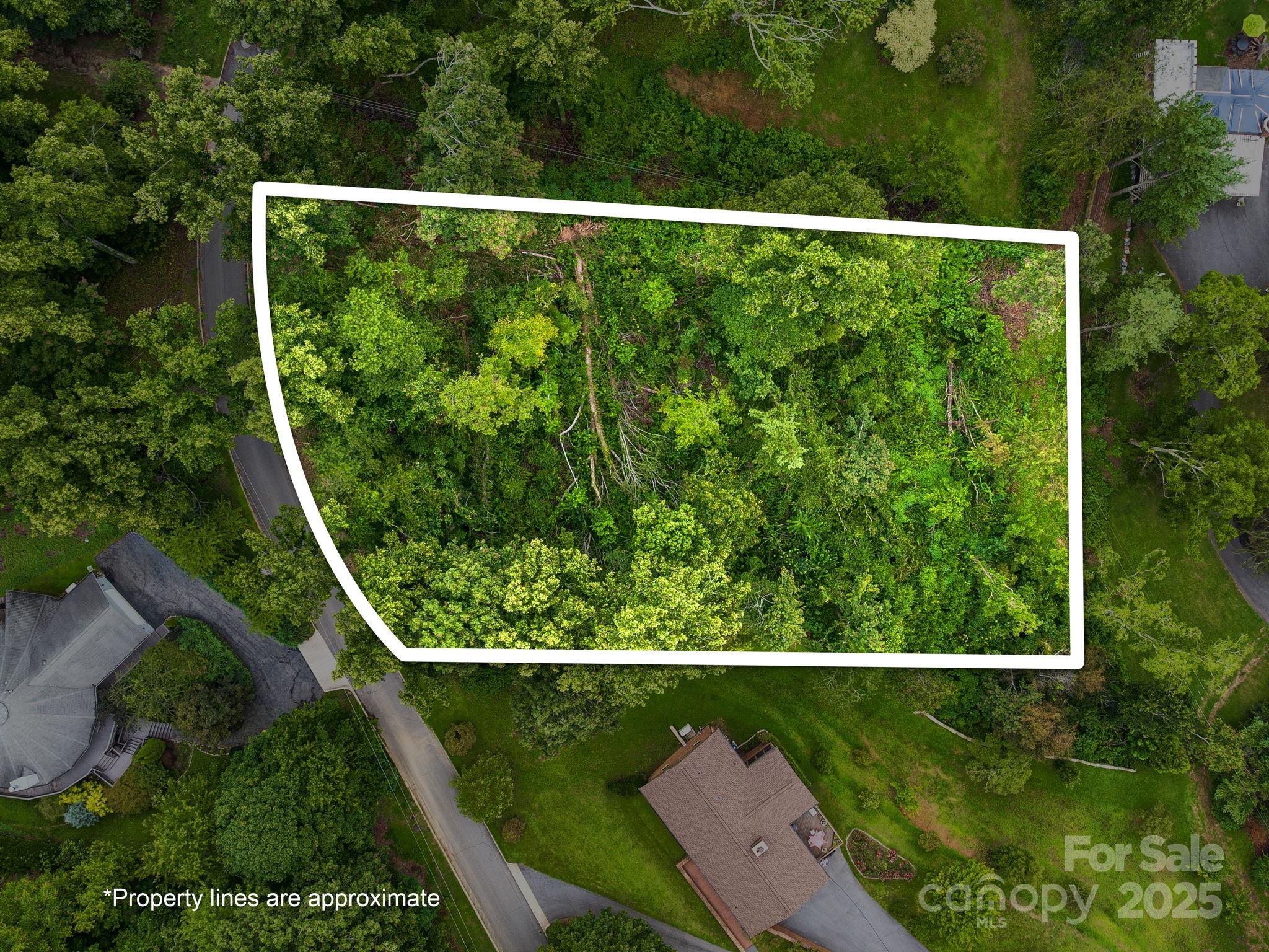 Asheville NC, 99999 Windsor Road