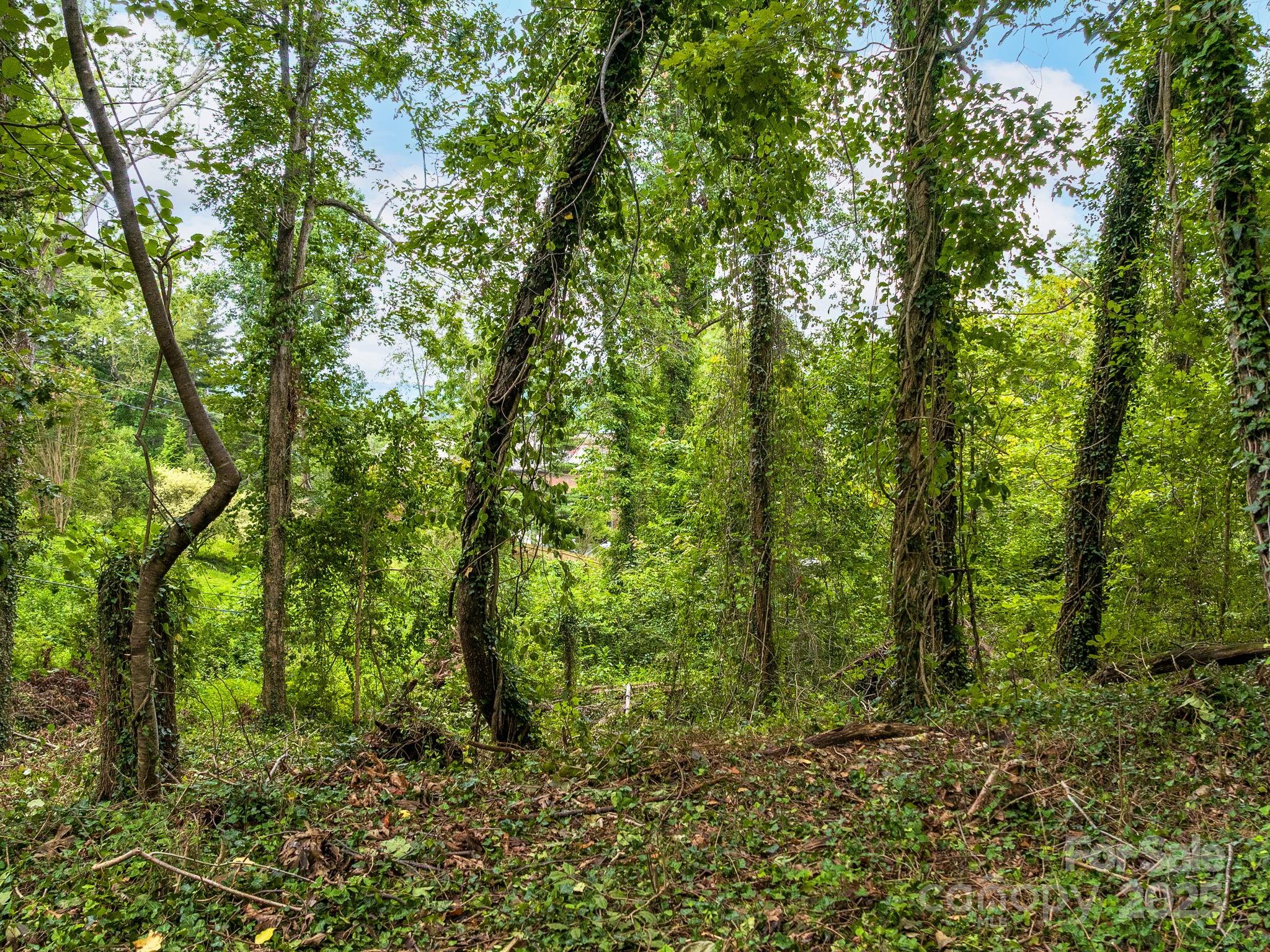 99999 Windsor Road Asheville NC 28804