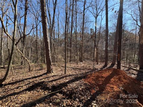 1417 Ellis Griffin Road Wingate NC 28174