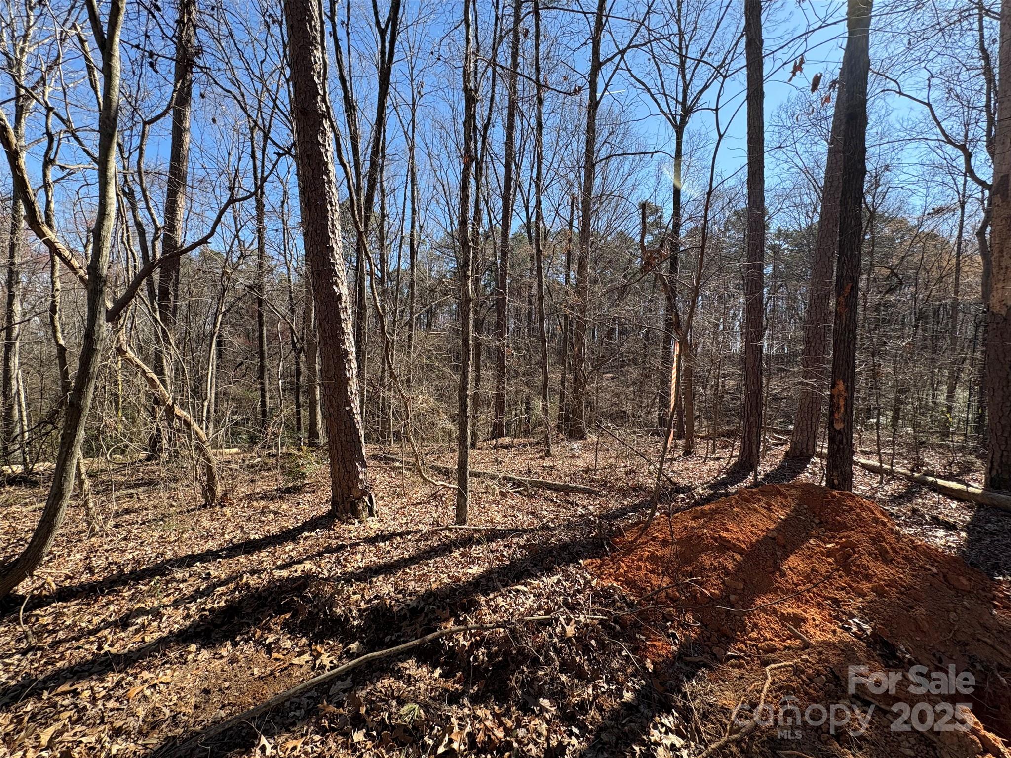 1417 Ellis Griffin Road Wingate NC 28174