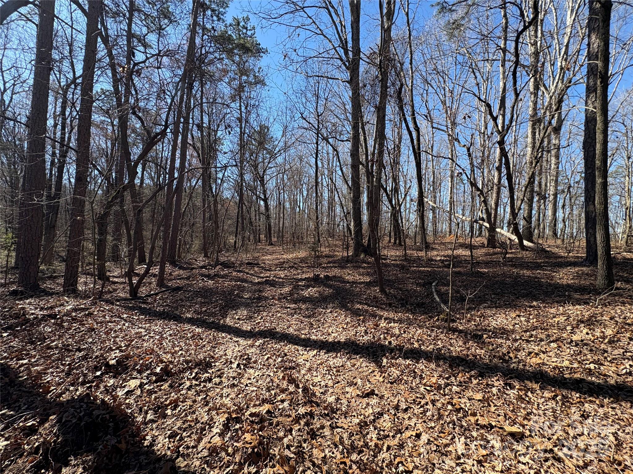 1417 Ellis Griffin Road Wingate NC 28174