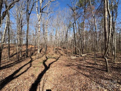 1417 Ellis Griffin Road Wingate NC 28174