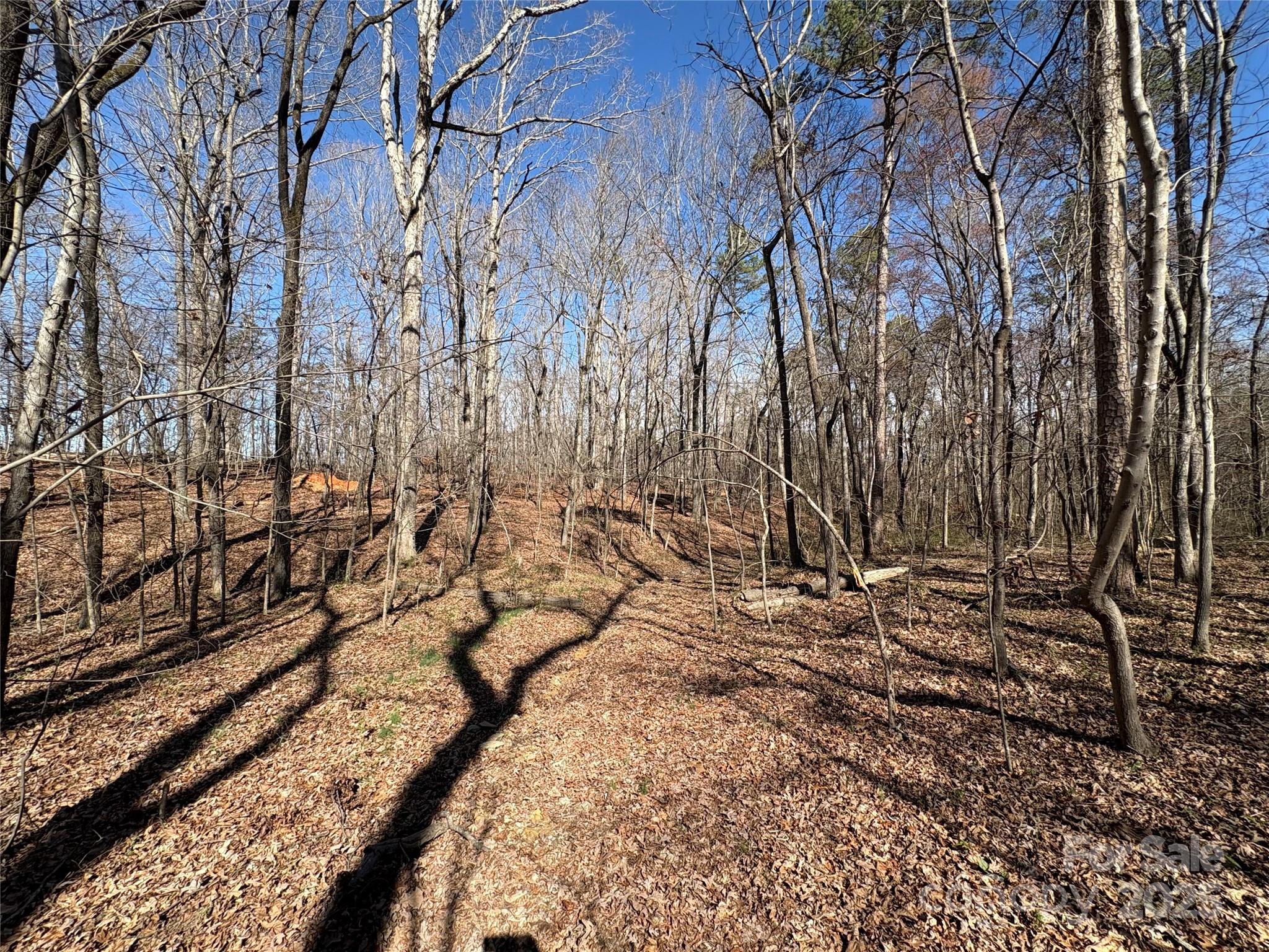 1417 Ellis Griffin Road Wingate NC 28174