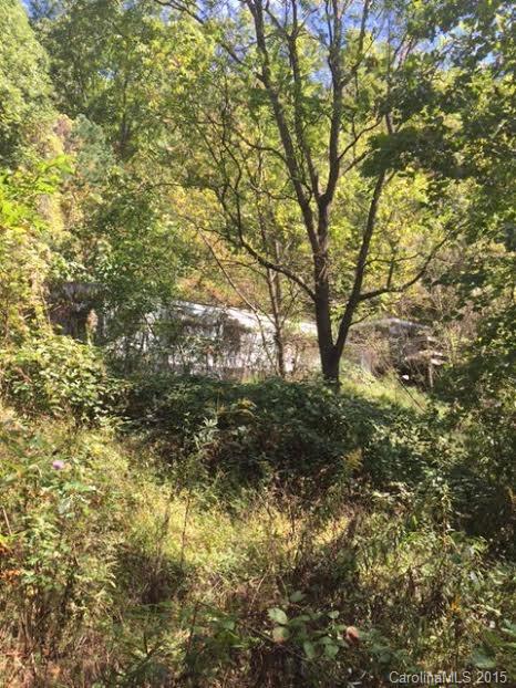 6 Old Tote Road Leicester NC 28748