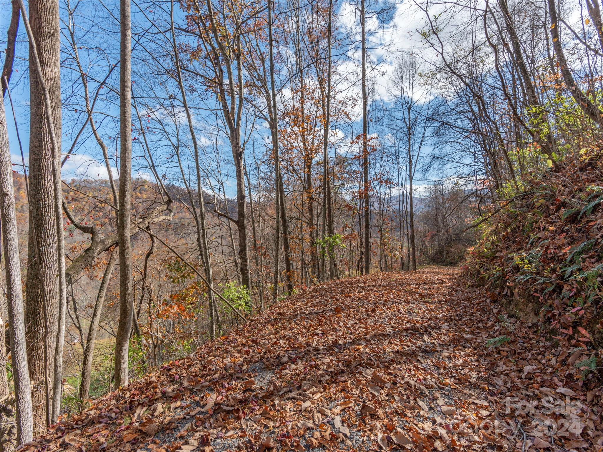 00 Mcnary Drive Clyde NC 28721