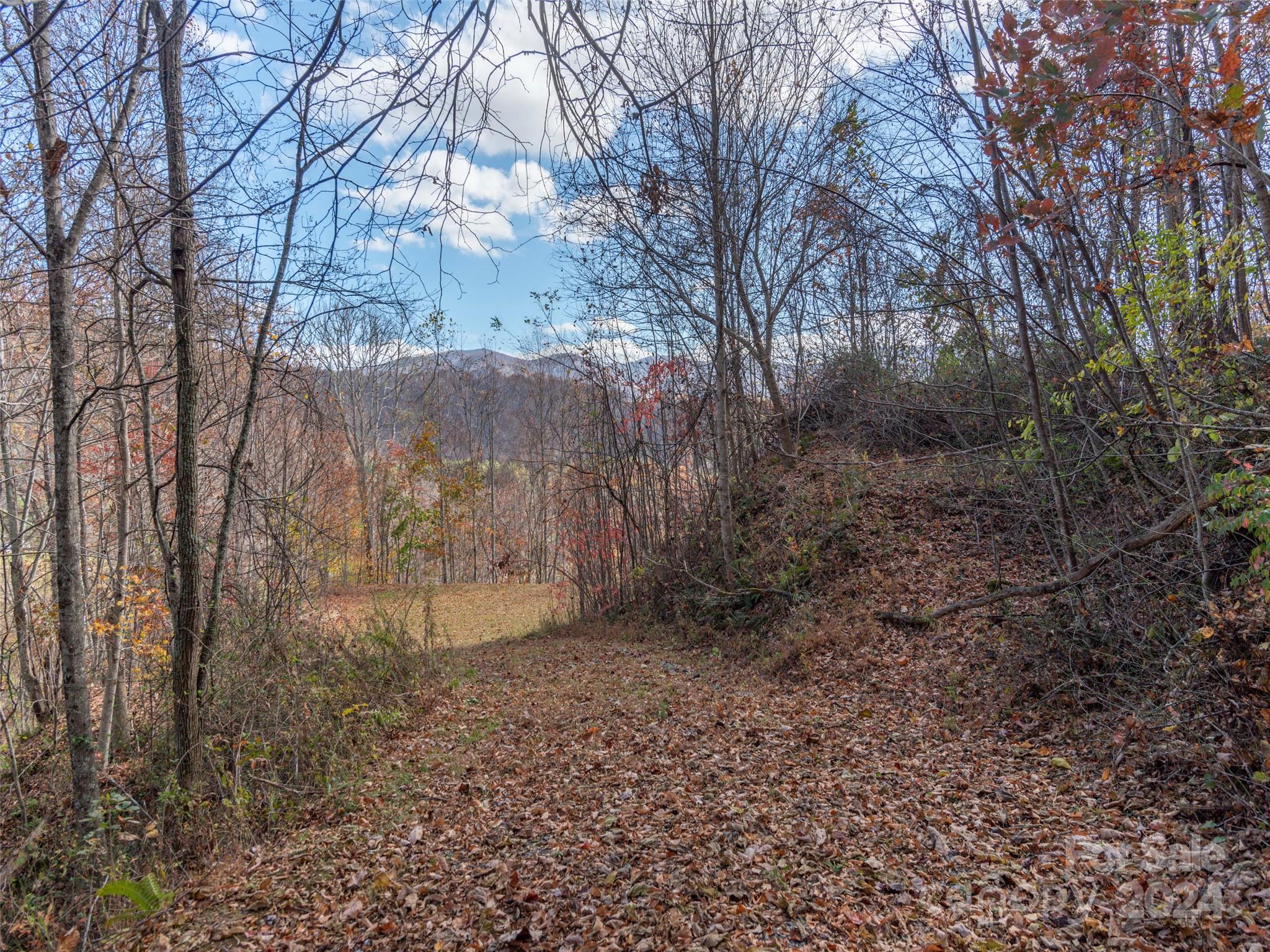 00 Mcnary Drive Clyde NC 28721