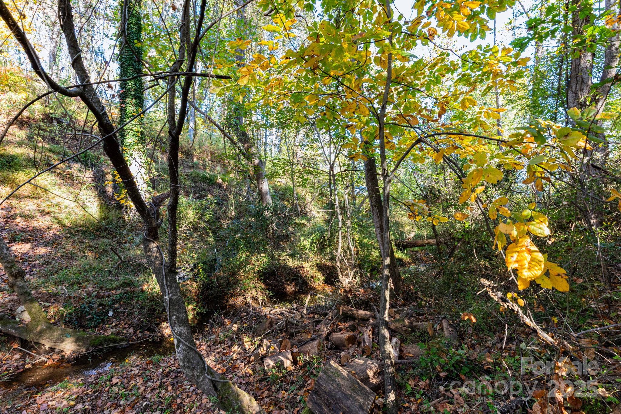 30 Waynesville Avenue Asheville NC 28806