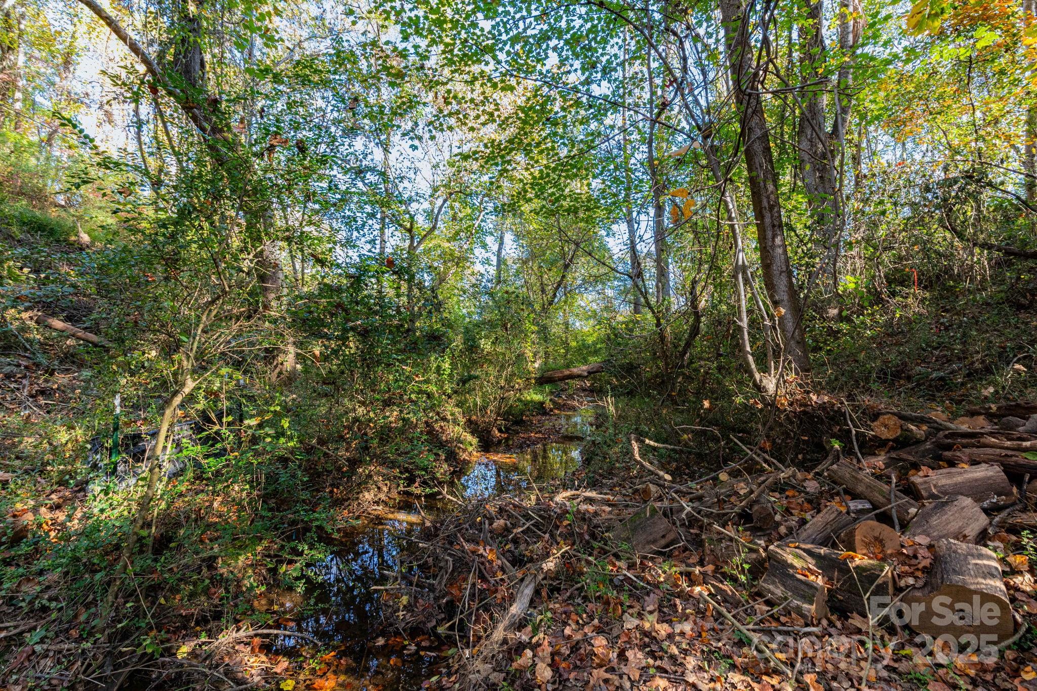 30 Waynesville Avenue Asheville NC 28806