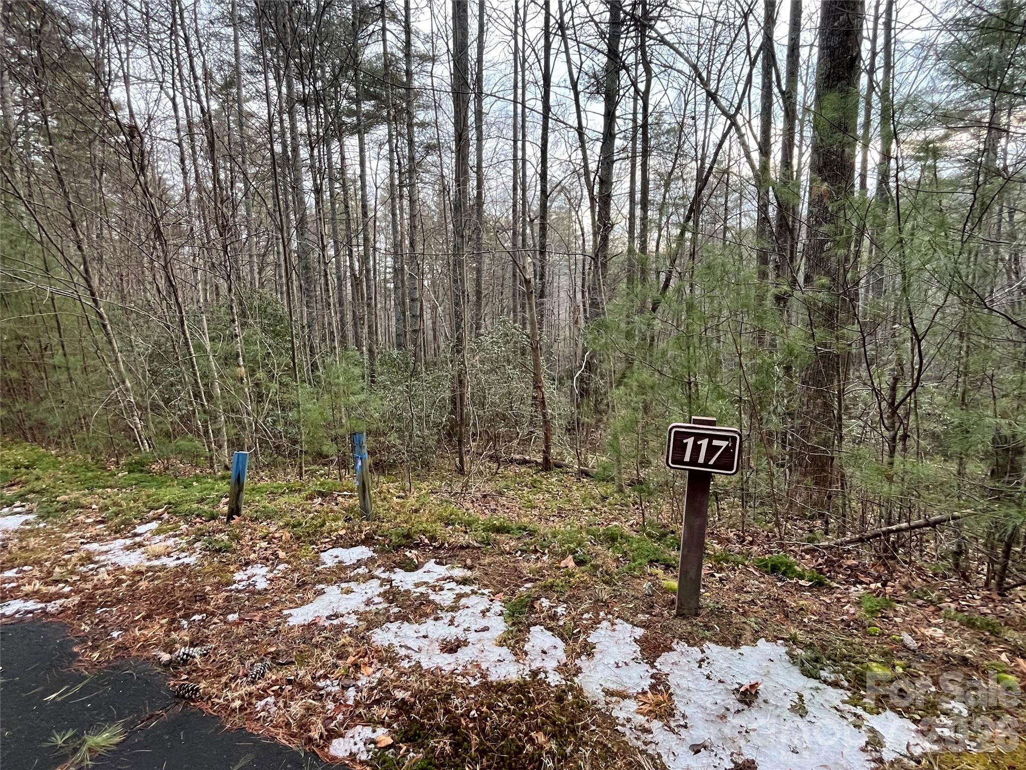 Lot 117 Huckleberry Ridge Lane Zirconia NC 28790