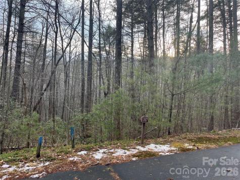 Lot 117 Huckleberry Ridge Lane Zirconia NC 28790