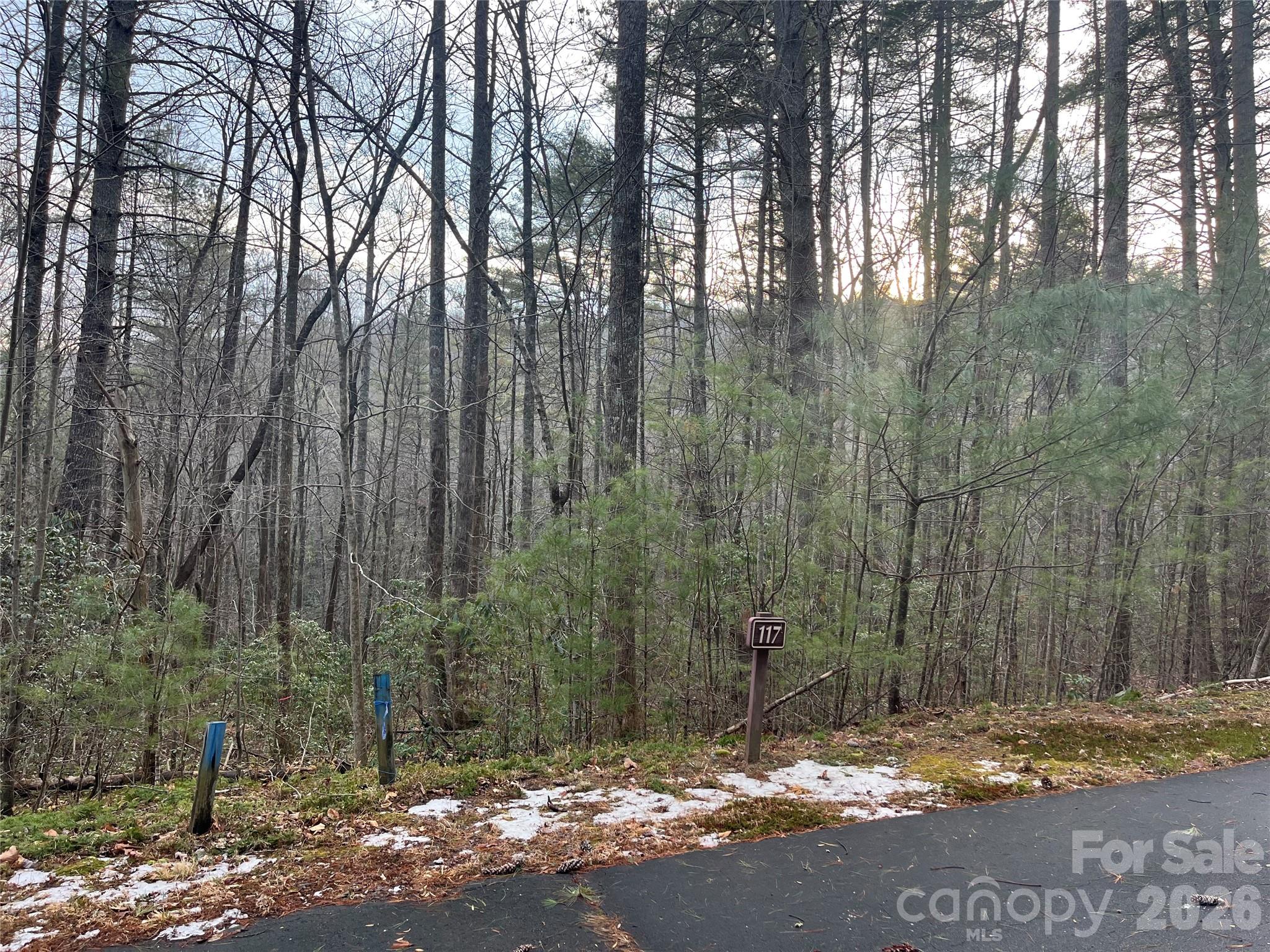Lot 117 Huckleberry Ridge Lane Zirconia NC 28790