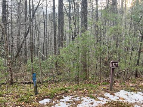 Lot 117 Huckleberry Ridge Lane Zirconia NC 28790