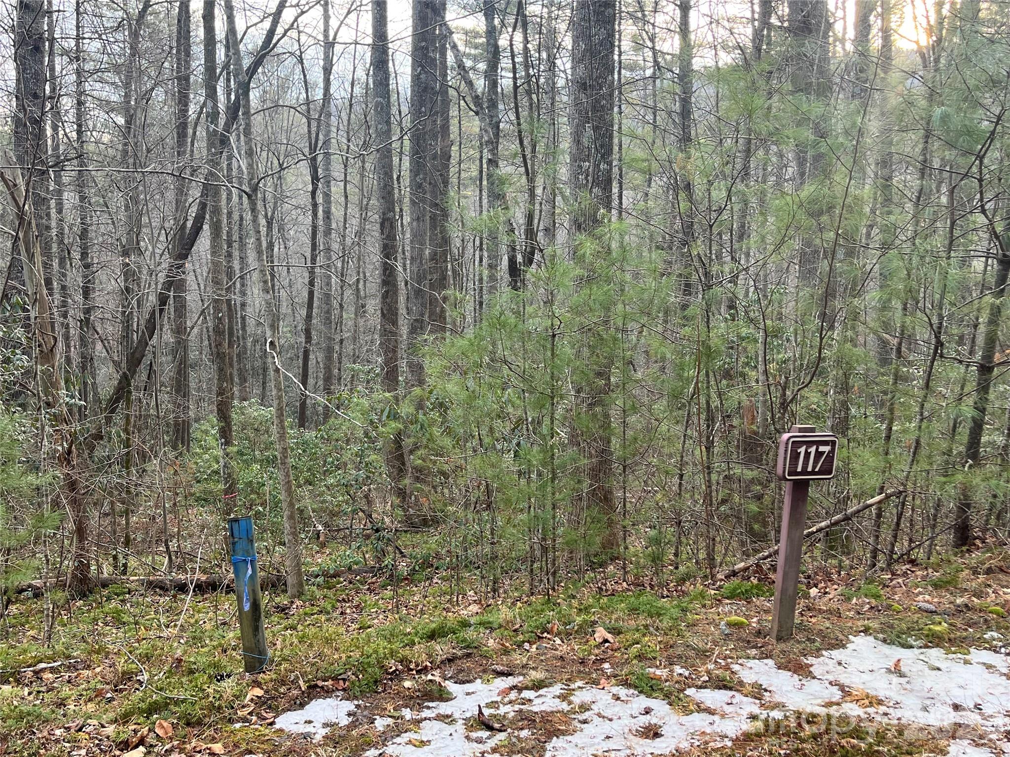 Lot 117 Huckleberry Ridge Lane Zirconia NC 28790
