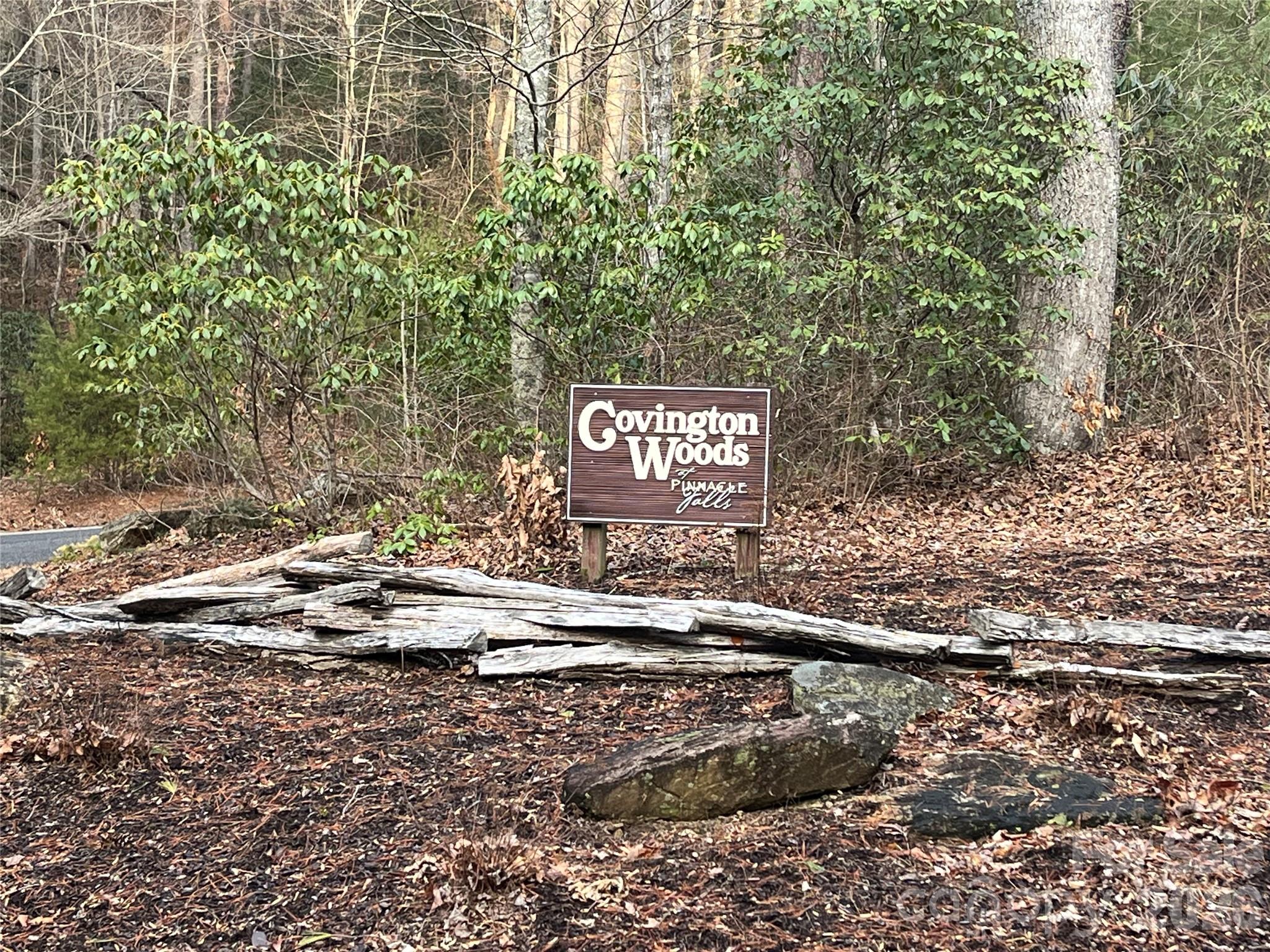 Lot 117 Huckleberry Ridge Lane Zirconia NC 28790