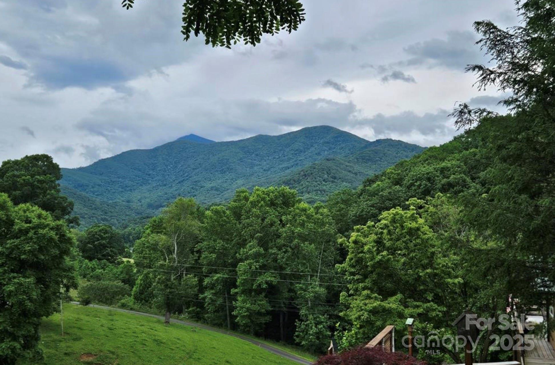 Lot 3 Mountain View Road Burnsville NC 28714