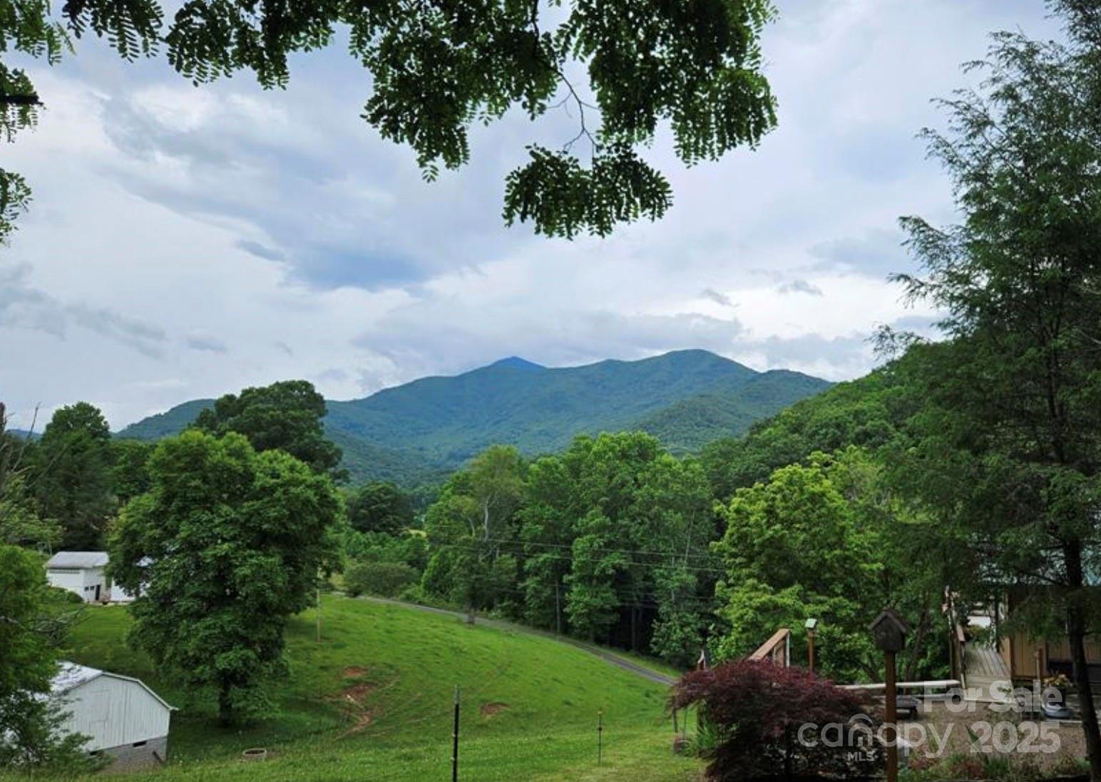 Lot 3 Mountain View Road Burnsville NC 28714
