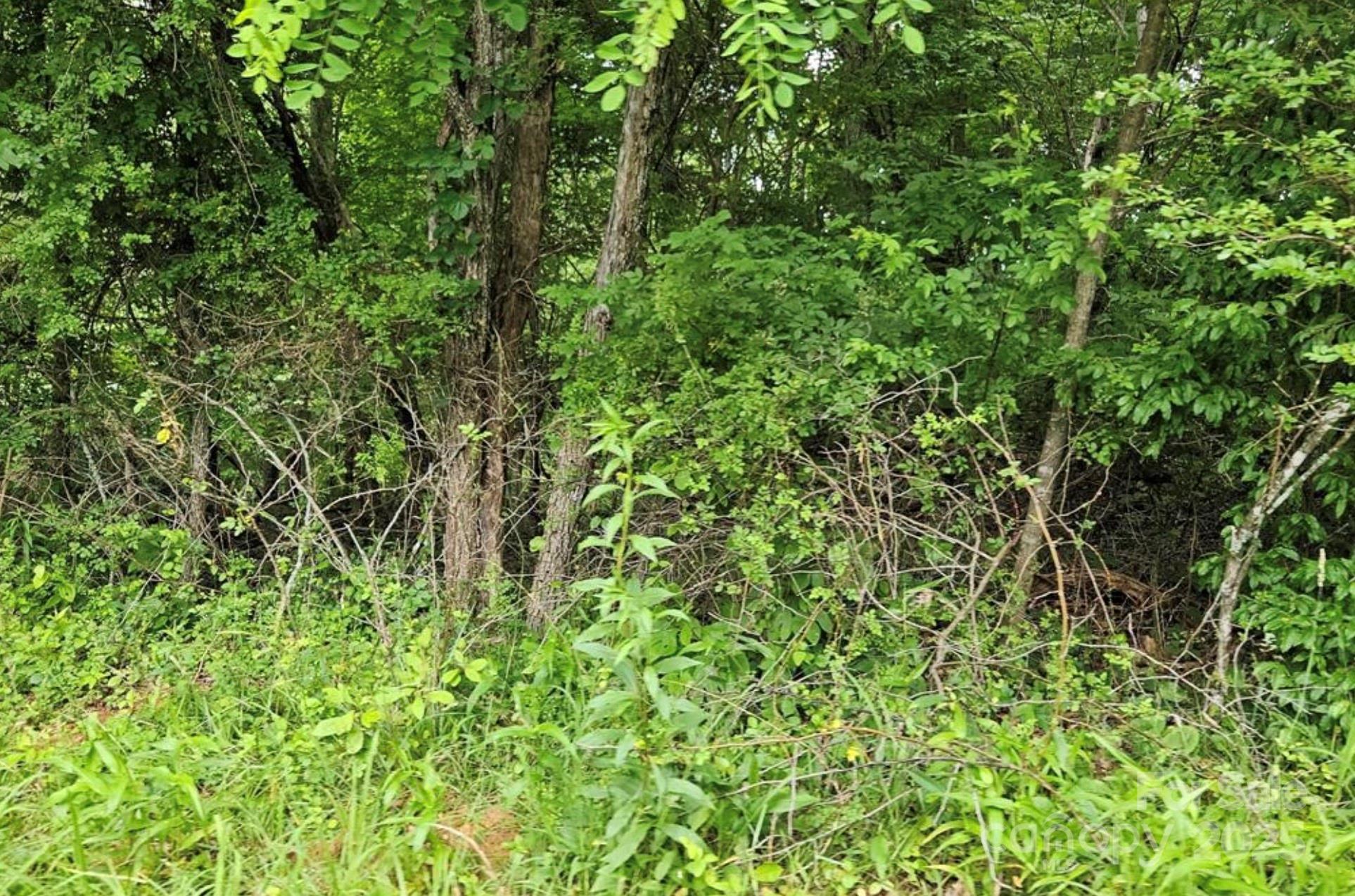 Lot 3 Mountain View Road Burnsville NC 28714